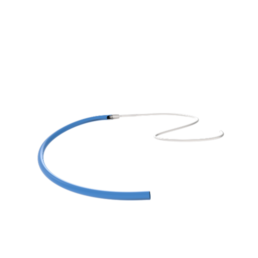 Access Guide.png